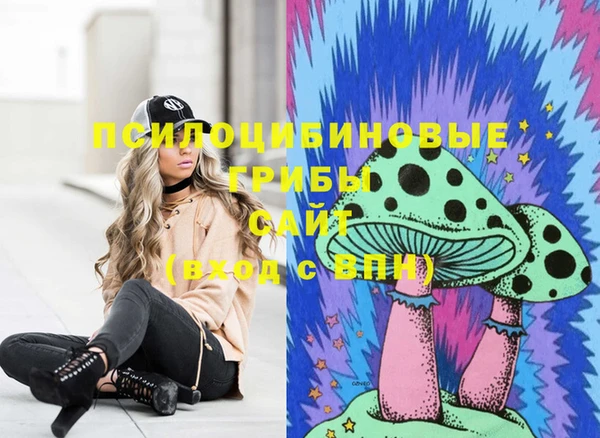МДПВ Волосово
