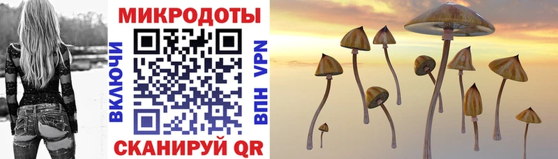 Галлюциногенные грибы Psilocybine cubensis  Норильск 