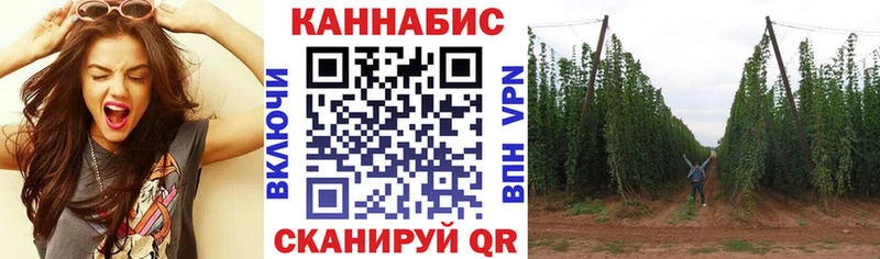 Каннабис AK-47 магазин продажи omg сайт Норильск